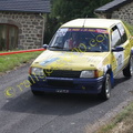 Rallye du Haut Lignon 2012 (100)