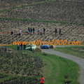 Rallye des Vignes de Regnie 2011 (133)