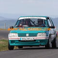 Rallye Velay Auvergne 2009 (48)