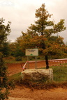 Rallye Terre de Vaucluse 2012 (104)