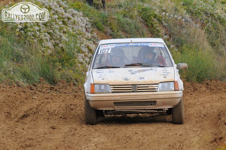 Rallye Terre de Vaucluse 2012 (350)