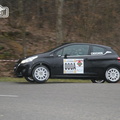 Rallye des Monts du Lyonnais 2013 (367)