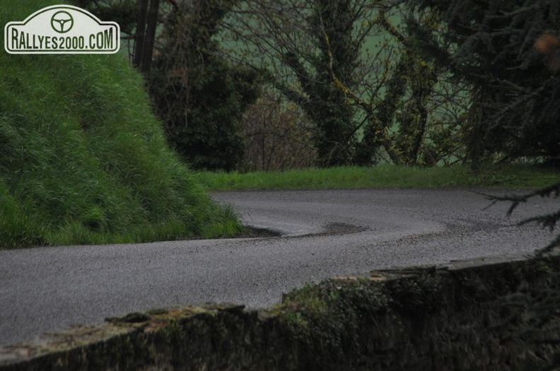 Rallye Lyon Charbonnières 2013  (1)