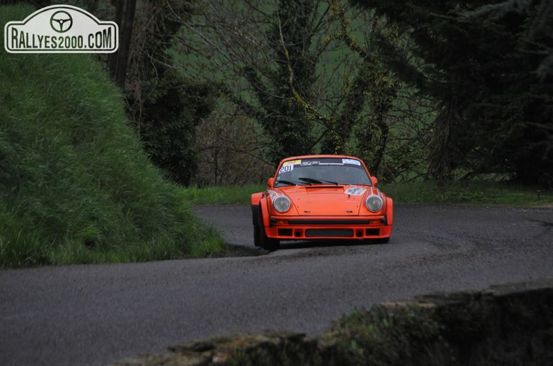 Rallye Lyon Charbonnières 2013  (5)