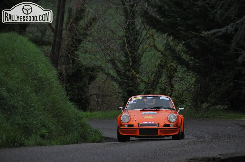 Rallye Lyon Charbonnières 2013  (11)