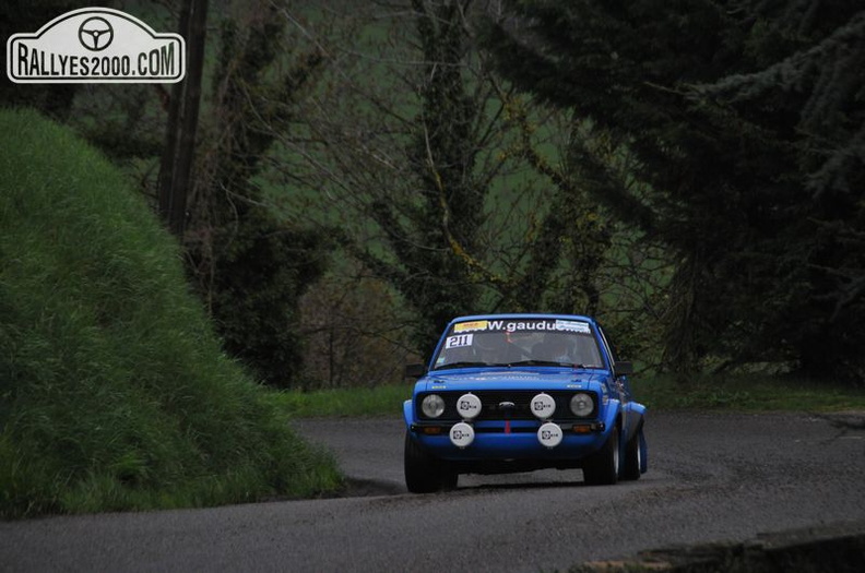 Rallye Lyon Charbonnières 2013  (14)