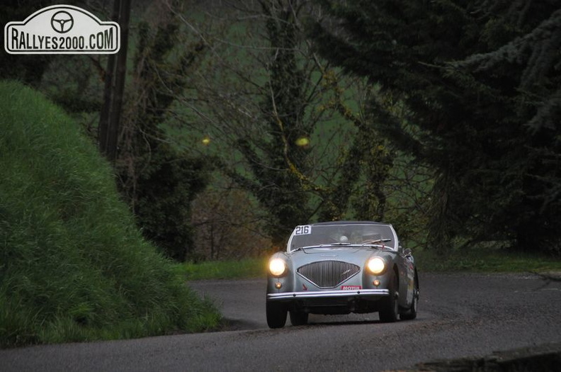 Rallye Lyon Charbonnières 2013  (18)