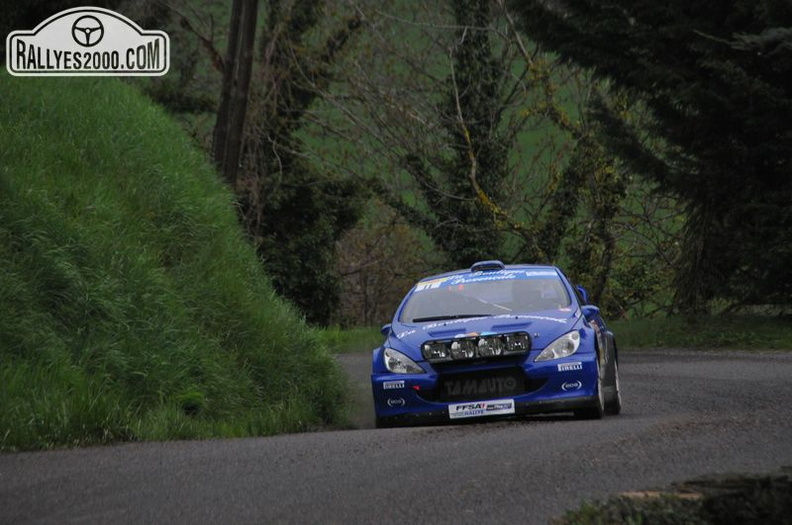 Rallye Lyon Charbonnières 2013  (39)