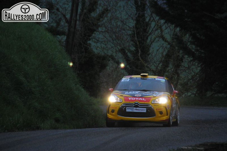 Rallye Lyon Charbonnières 2013  (73)