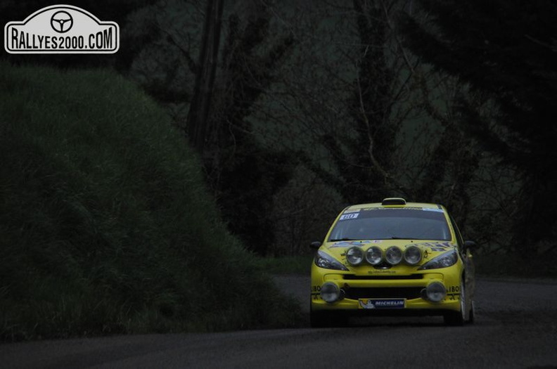 Rallye Lyon Charbonnières 2013  (85)