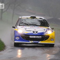 Rallye Lyon Charbonnières 2013  (141)