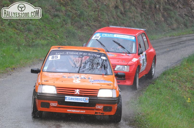 Rallye du Bassin Annonéen 2013 (86)