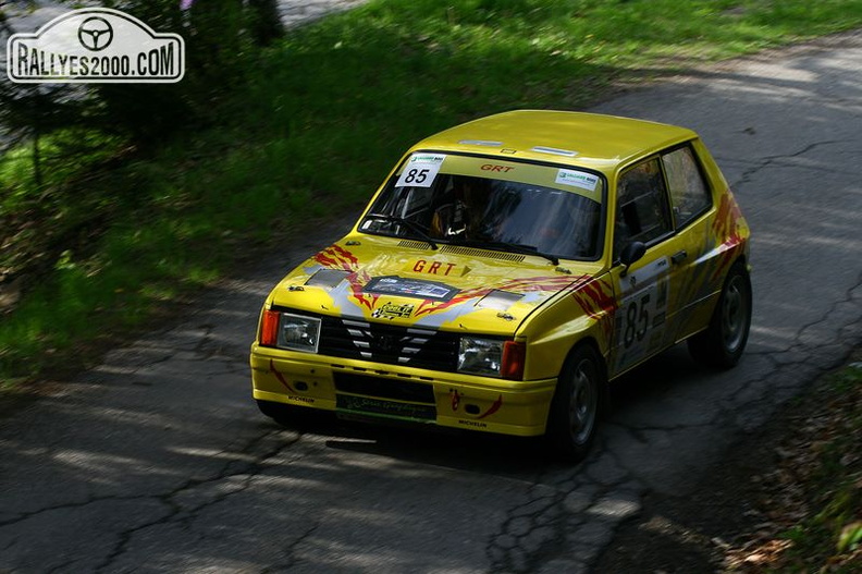 Rallye du Beaufortain 2013 (78).JPG