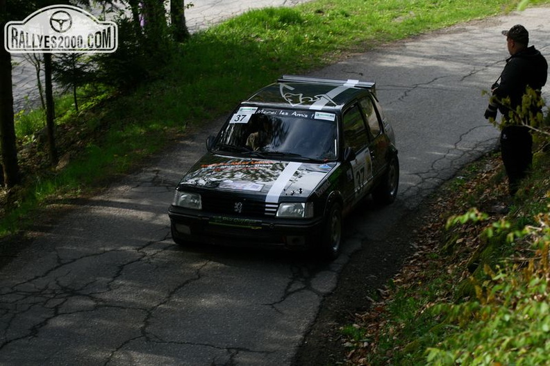 Rallye du Beaufortain 2013 (154)