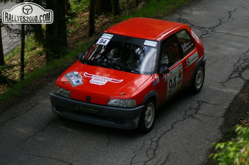 Rallye du Beaufortain 2013 (174)