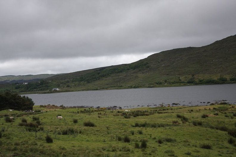 IRLANDE 2013 (653)