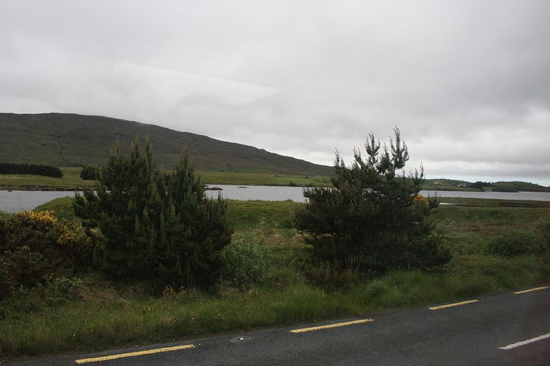 IRLANDE 2013 (677)