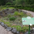 IRLANDE 2013 (719)