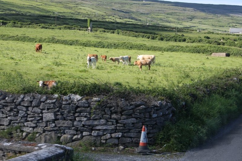 IRLANDE 2013 (816)