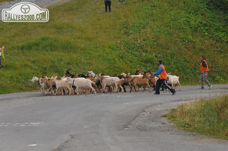 Rallye du Mont Blanc 2013 (231).JPG