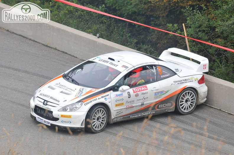 Rallye du Mont Blanc 2013 (268)