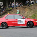 Rallye du Haut Lignon 2013 (006)