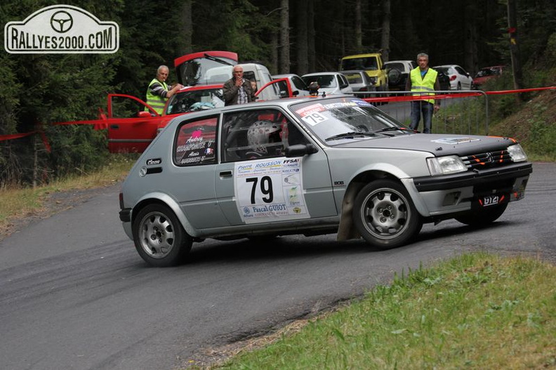 Rallye du Haut Lignon 2013 (102).JPG