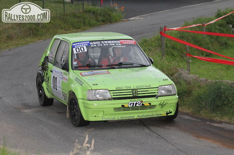 Rallye du Haut Lignon 2013 (140)