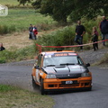 Rallye du Haut Lignon 2013 (302)
