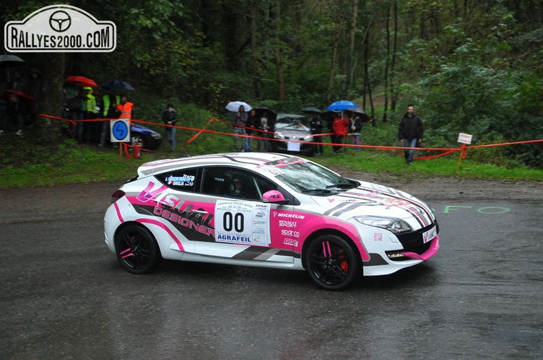 Rallye du Montbrisonnais 2013 (2)