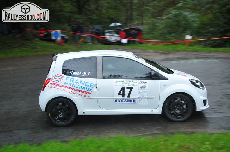 Rallye du Montbrisonnais 2013 (44)