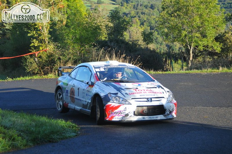 Rallye du Montbrisonnais 2013 (83)