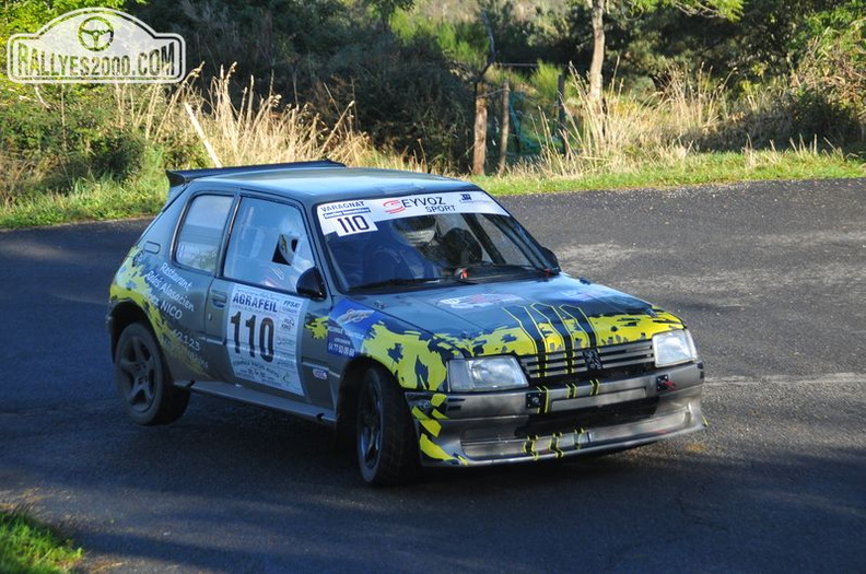 Rallye du Montbrisonnais 2013 (121)