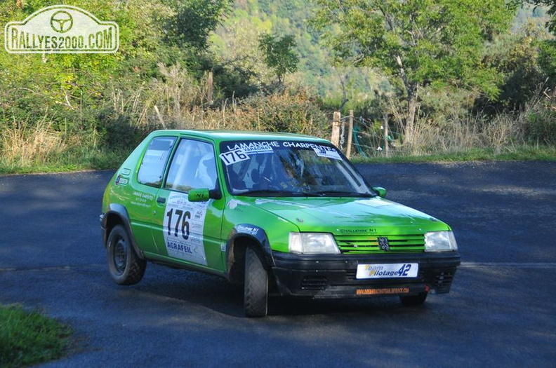 Rallye du Montbrisonnais 2013 (180).JPG