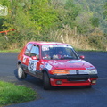 Rallye du Montbrisonnais 2013 (199)