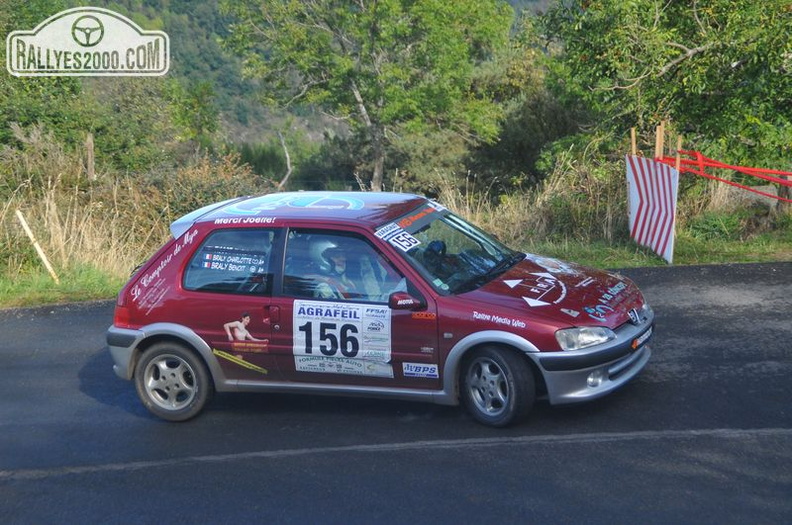 Rallye du Montbrisonnais 2013 (204).JPG