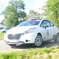 Rallye du Montbrisonnais 2013 (244)