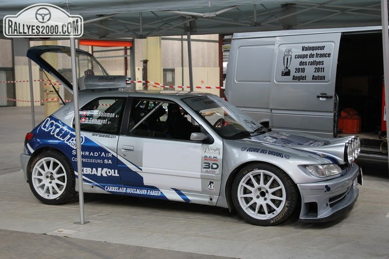 Rallye du Pays du Gier 2014 (012)