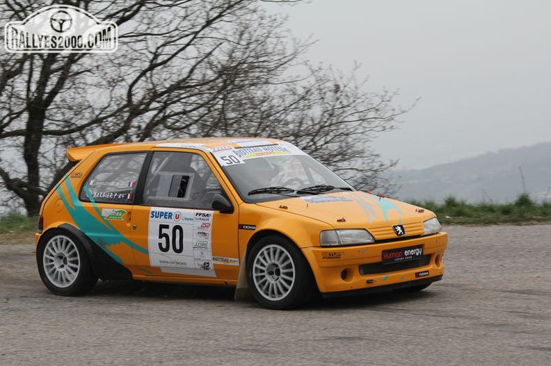 Rallye du Pays du Gier 2014 (911)