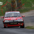 Rallye du Val d\'Ance 2014 (463)