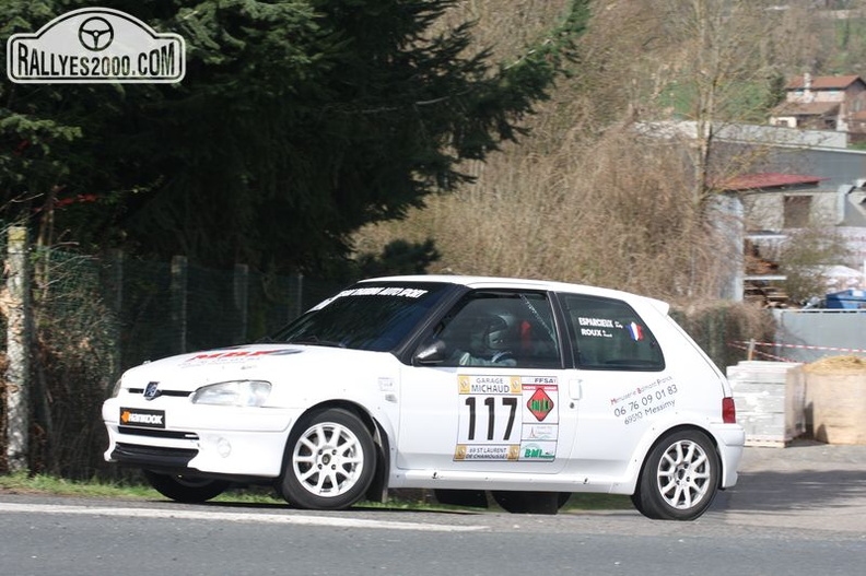 Rallye des Monts du Lyonnais 2014 (207).JPG