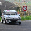 Rallye des Monts du Lyonnais 2014 (620)