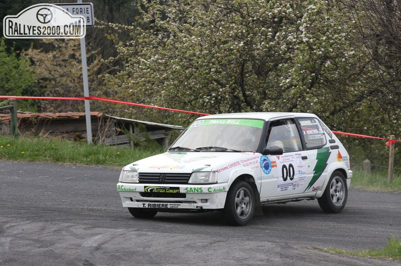 Rallye du Pays d\'Olliergues 2014 (096)