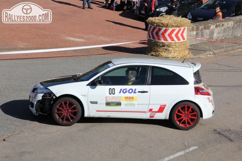 Rallye Lyon Charbonnières 2014 (002)