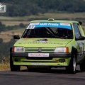 Rallye Haute Vallée de la Loire 2014 (091)