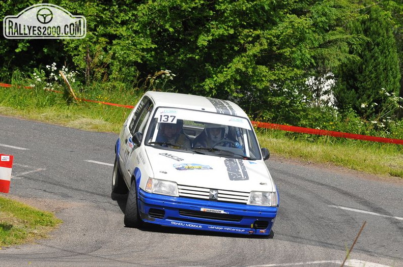 Rallye du Forez 2014 (129).JPG
