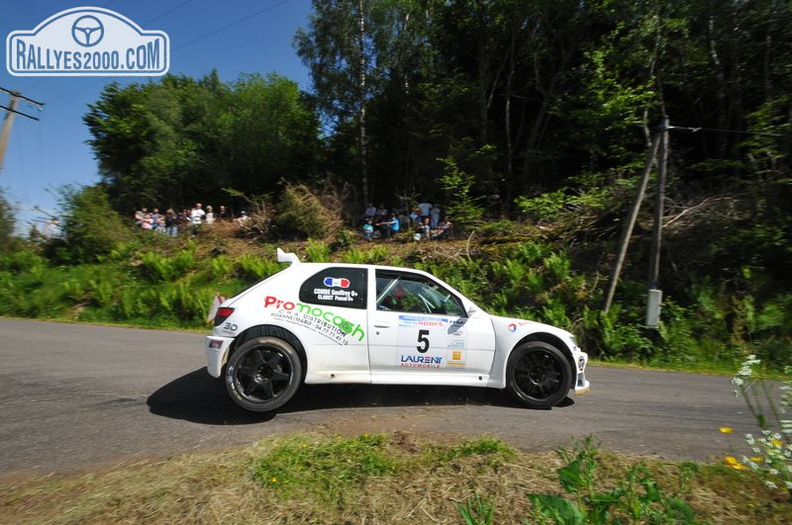 Rallye du Forez 2014 (163)