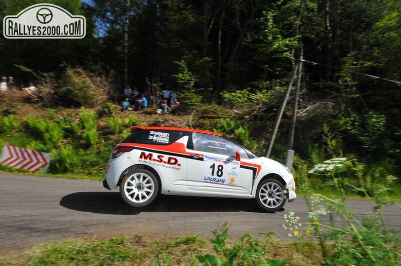 Rallye du Forez 2014 (169).JPG