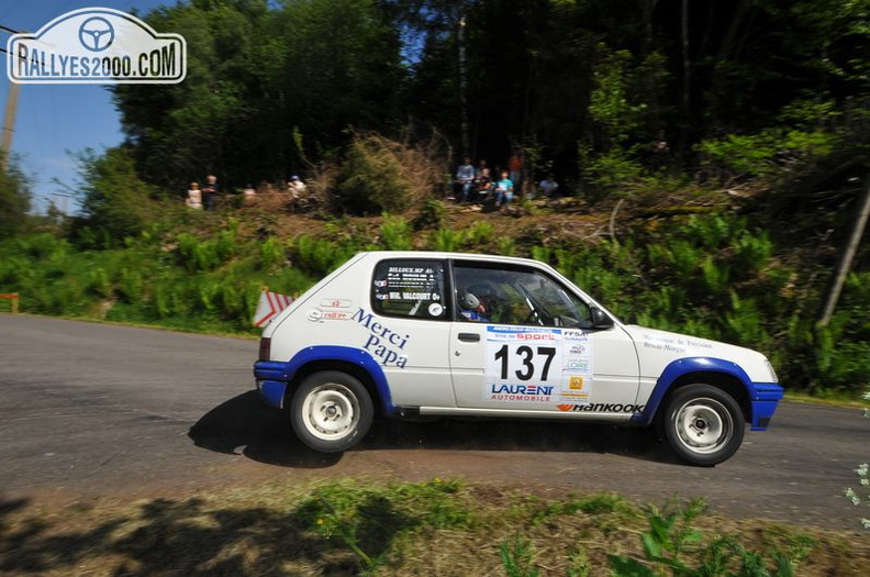 Rallye du Forez 2014 (193).JPG
