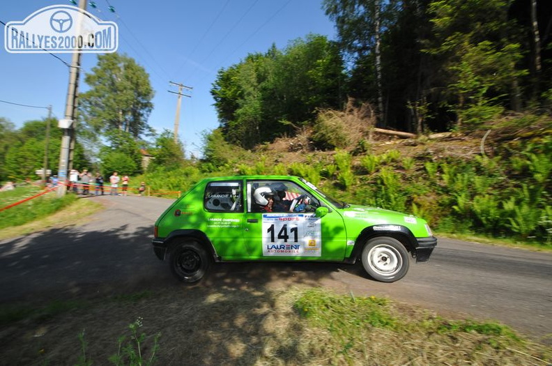 Rallye du Forez 2014 (231)